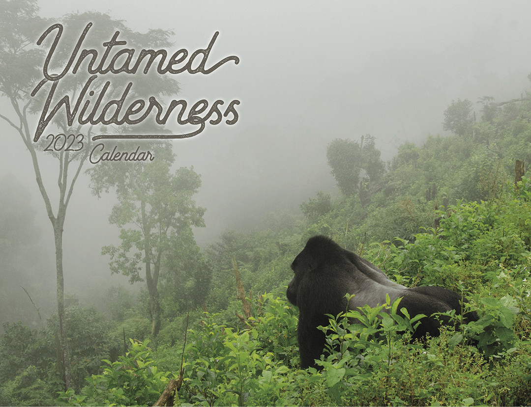 Untamed-Wilderness-CVR